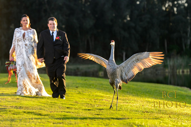 New Years Eve Wedding at The Lake House sends 2018 out with a BANG